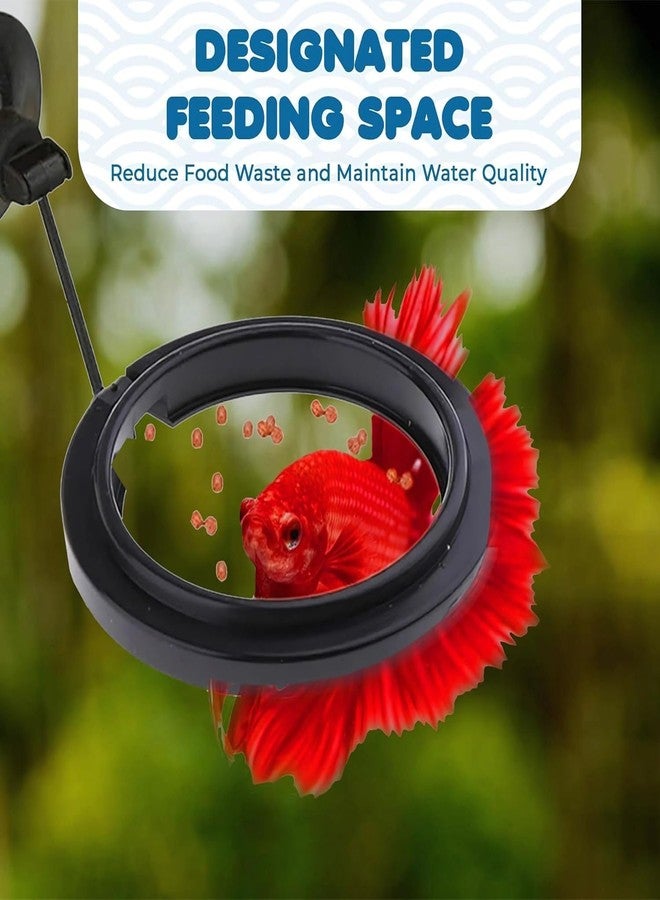 حلقات تغذية الأسماك VAYINATO® قطعتان (دائرية، مربعة) - مغذي طعام أسود مع كوب شفط قوي، يقلل من الهدر ويحافظ على جودة المياه | بلاستيك مناسب لأسماك الجوبي، والبيتا، والسمك الذهبي - Image 3